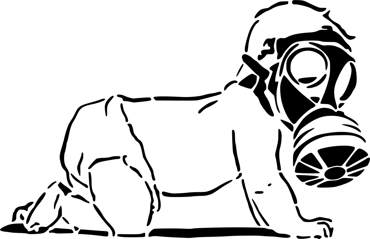 essential tips and products to ensure your baby's safety at home and on the go. learn how to create a secure environment for your little one.