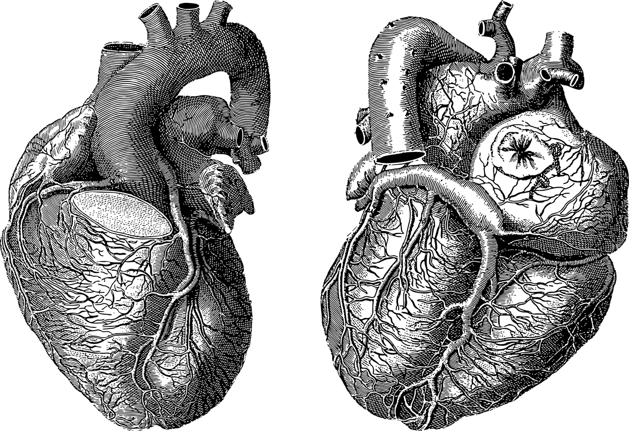 comprehensive cardiac rehab programs designed to improve heart health, enhance recovery, and promote a healthier lifestyle after heart-related conditions.