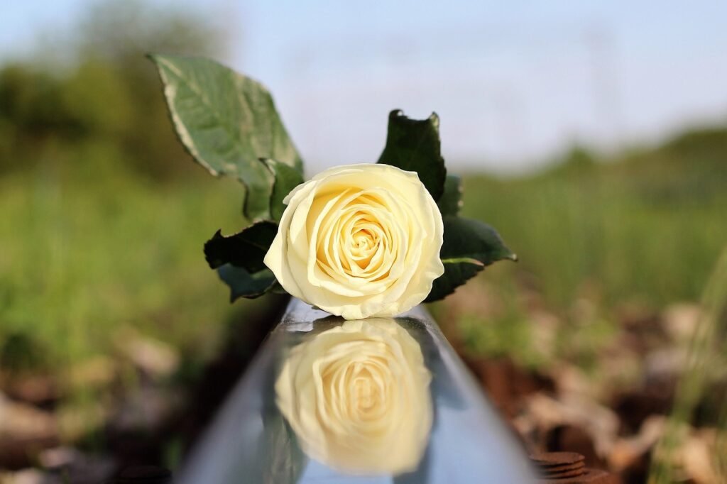 learn effective and compassionate ways to communicate tragedy to children, helping them understand and cope with difficult situations.