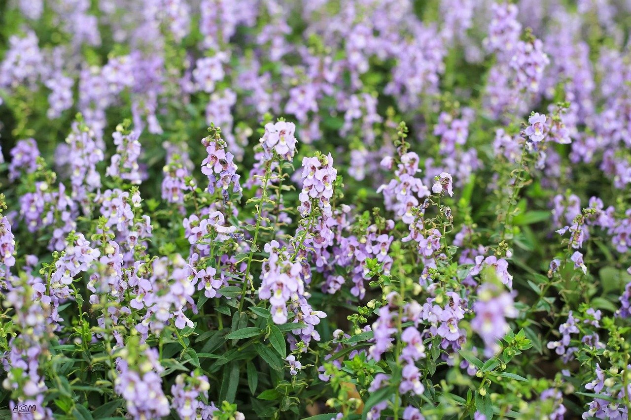 explore the causes, symptoms, and treatment options for gerd (gastroesophageal reflux disease) to better manage acid reflux and improve digestive health.