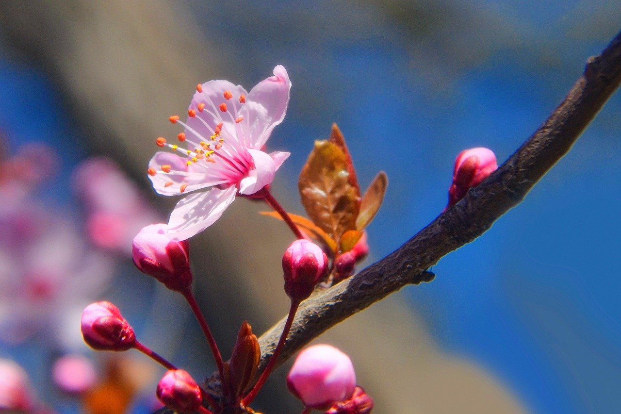 learn about gerd (gastroesophageal reflux disease), its symptoms, causes, and effective treatments to manage acid reflux and improve digestive health.