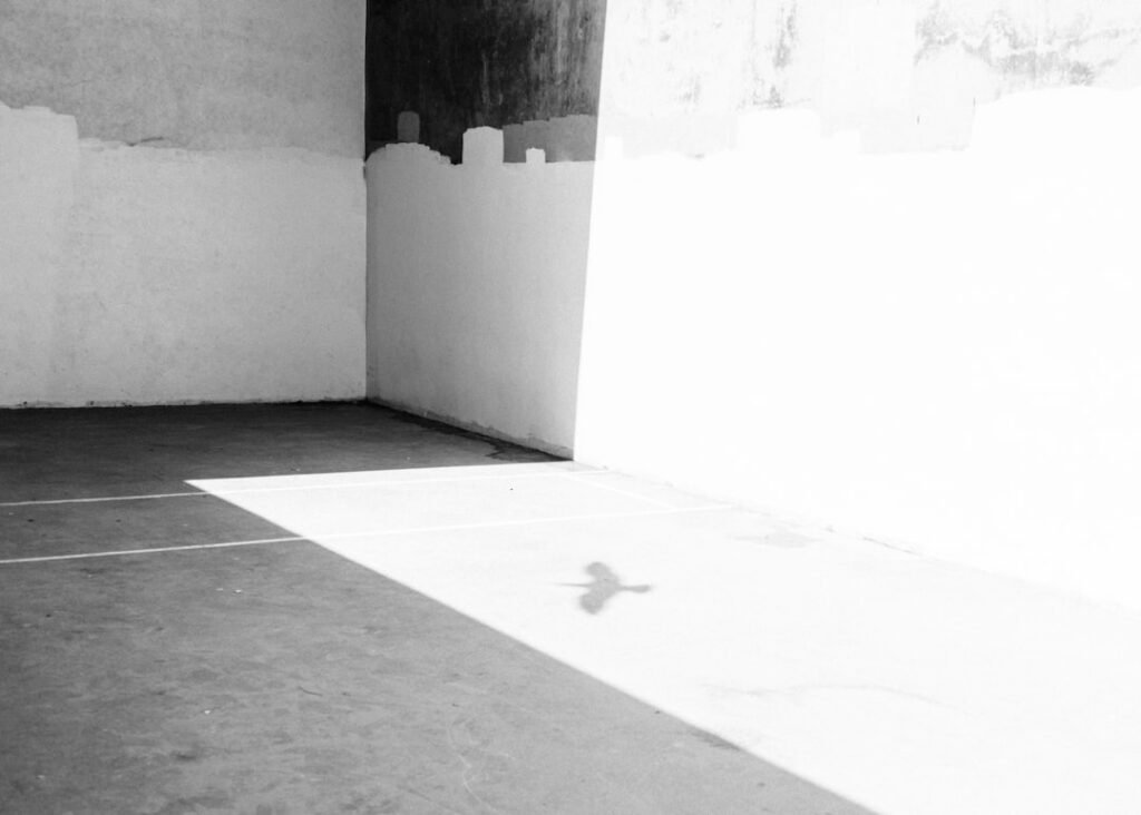 explore the importance of health equity in ensuring fair access to healthcare and improving health outcomes for all individuals, regardless of their background or circumstances.