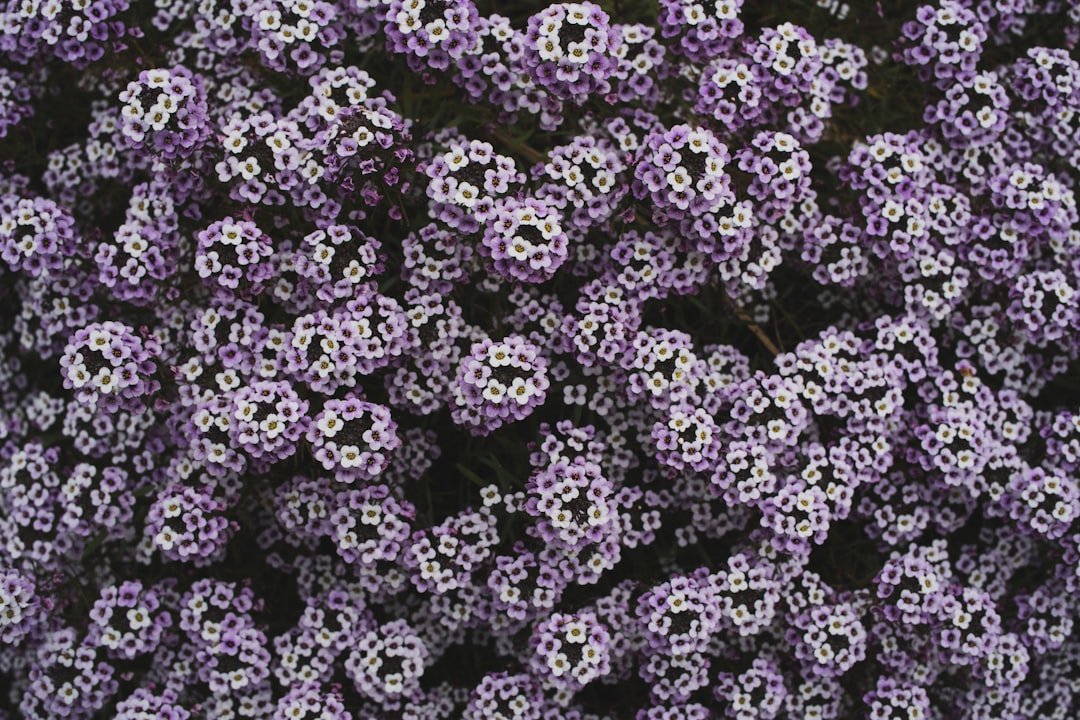 explore the latest advancements in nanomedicine, a cutting-edge field combining nanotechnology and medicine to improve diagnosis, treatment, and drug delivery at the molecular level.