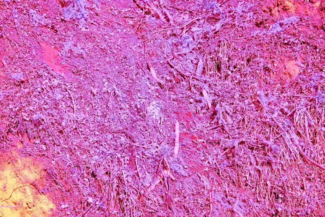 tele-oncology is the use of telecommunications technology to provide cancer care remotely, improving access to specialists and enhancing patient support.