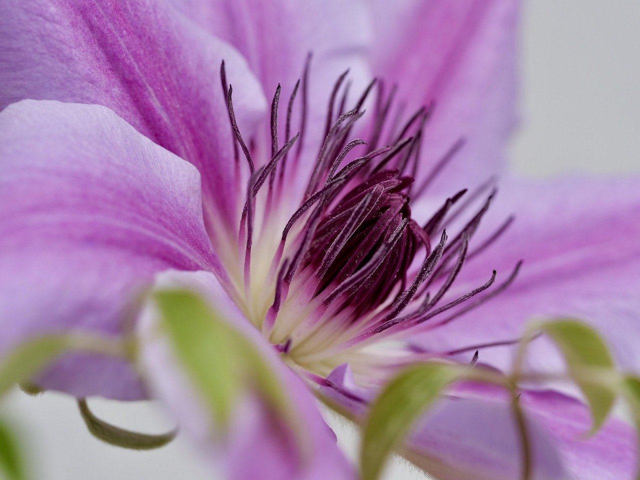 discover top air purifiers to improve your indoor air quality. find the best models with advanced filtration technology for a healthier home environment.