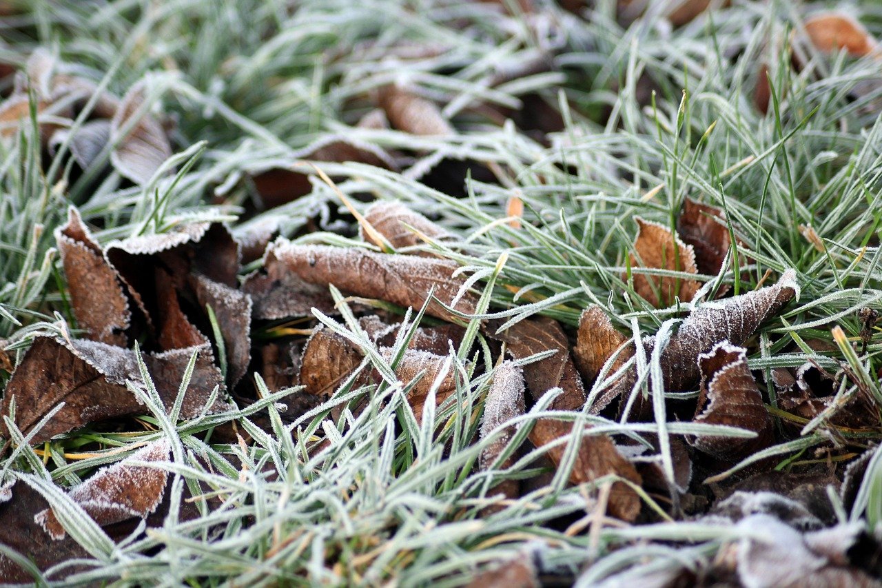 start fresh with our january reset program, designed to help you recharge, refocus, and set powerful goals for the year ahead.