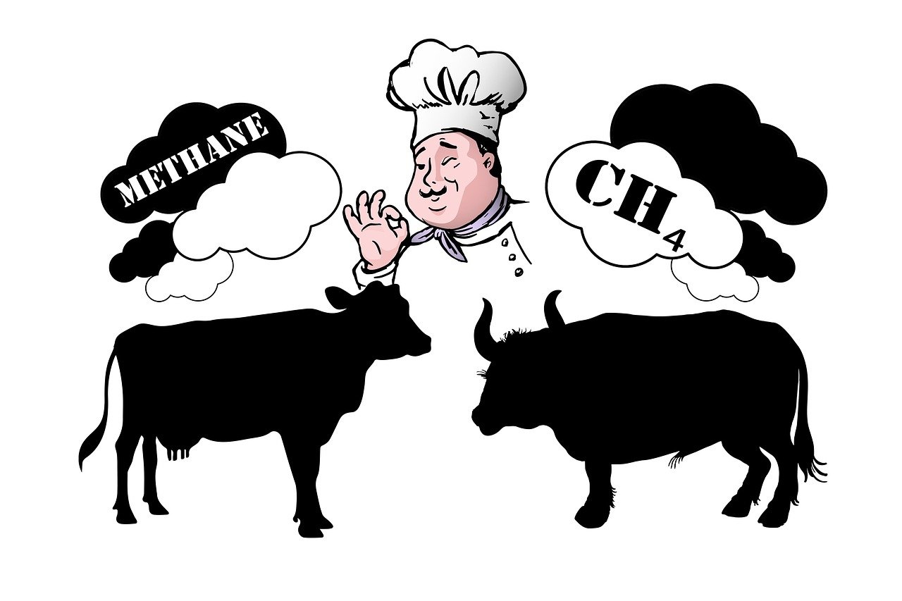 learn about common pollutants, their sources, and their impact on the environment and human health. discover ways to reduce pollution and protect the planet.