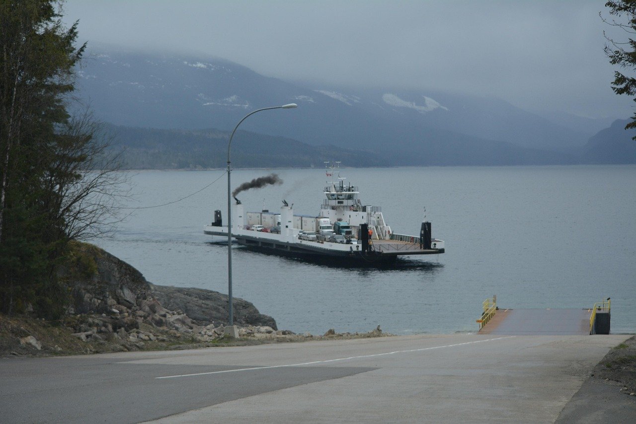 learn about vehicle pollution, its causes, effects on the environment, and ways to reduce emissions for a cleaner, healthier planet.