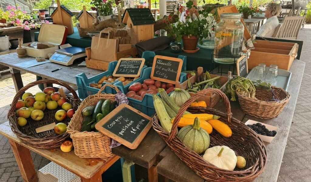 discover eco-friendly products and practices that help protect the environment and promote sustainability for a greener future.