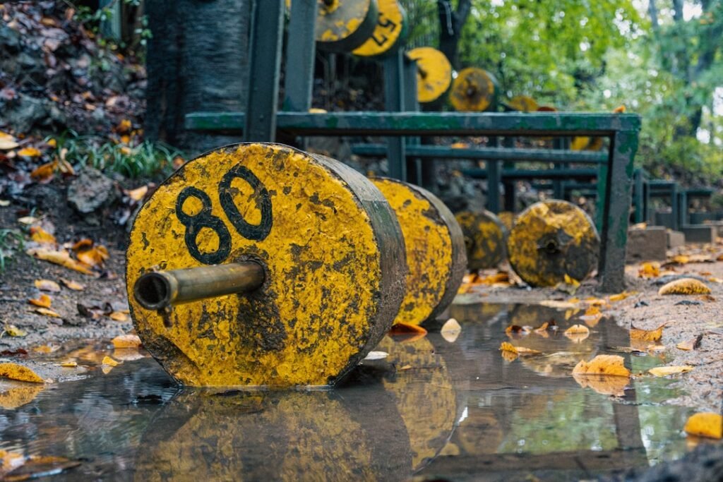 discover high-quality strength training equipment designed to enhance your workouts and build muscle effectively. shop durable weights, resistance bands, and fitness gear for all levels.