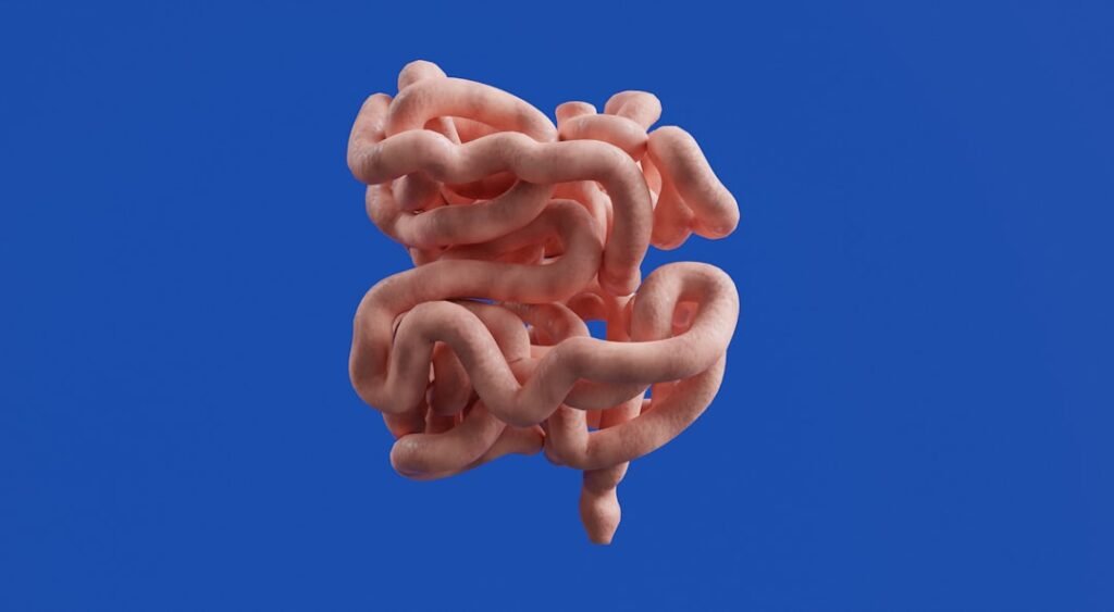 explore the concept of digestive rhythm and learn how it influences your body's natural digestion process for better health and well-being.