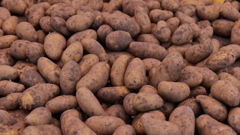 discover the thrilling story of the potato invasion, where adventure and surprises await in this unique tale of unexpected conquest.