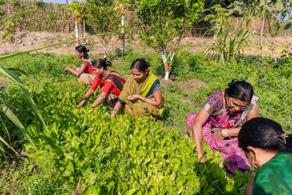 discover effective and eco-friendly solutions with sustainable relief, your guide to lasting comfort and well-being through sustainable practices.