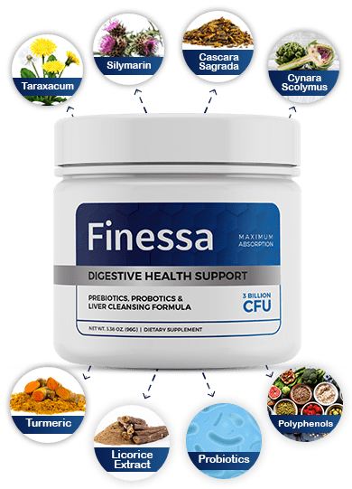 Finessa
